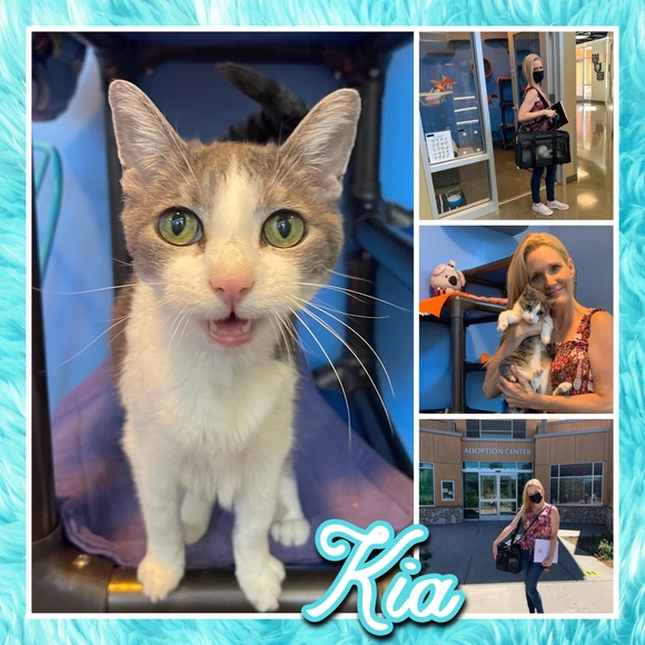 Thanks for Joining Me PFFS! SPREAD #PoshLove & Share ๐ป โPETS Posh Party" 2/08 - Picture 6 of 10